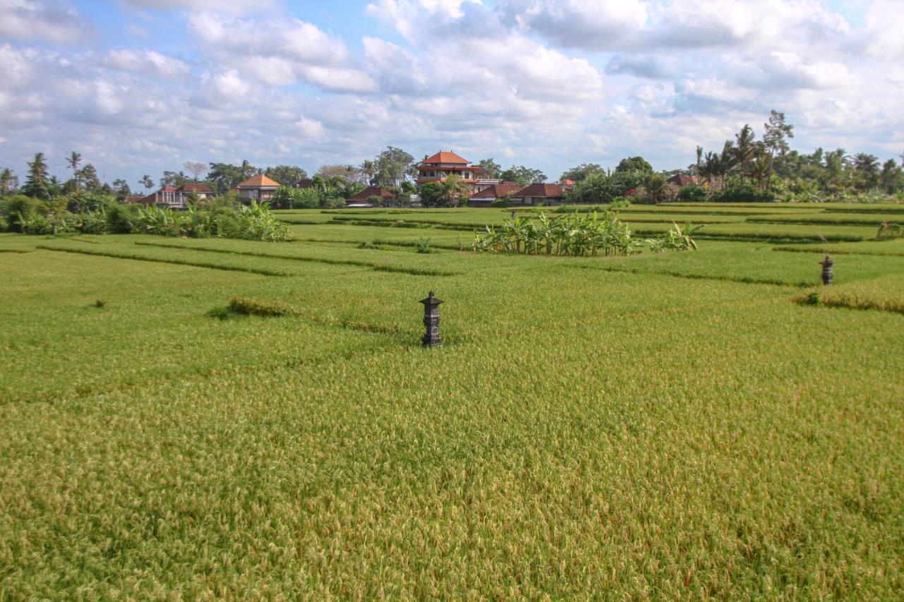 Kubu Sari Ubud Eksteriør billede