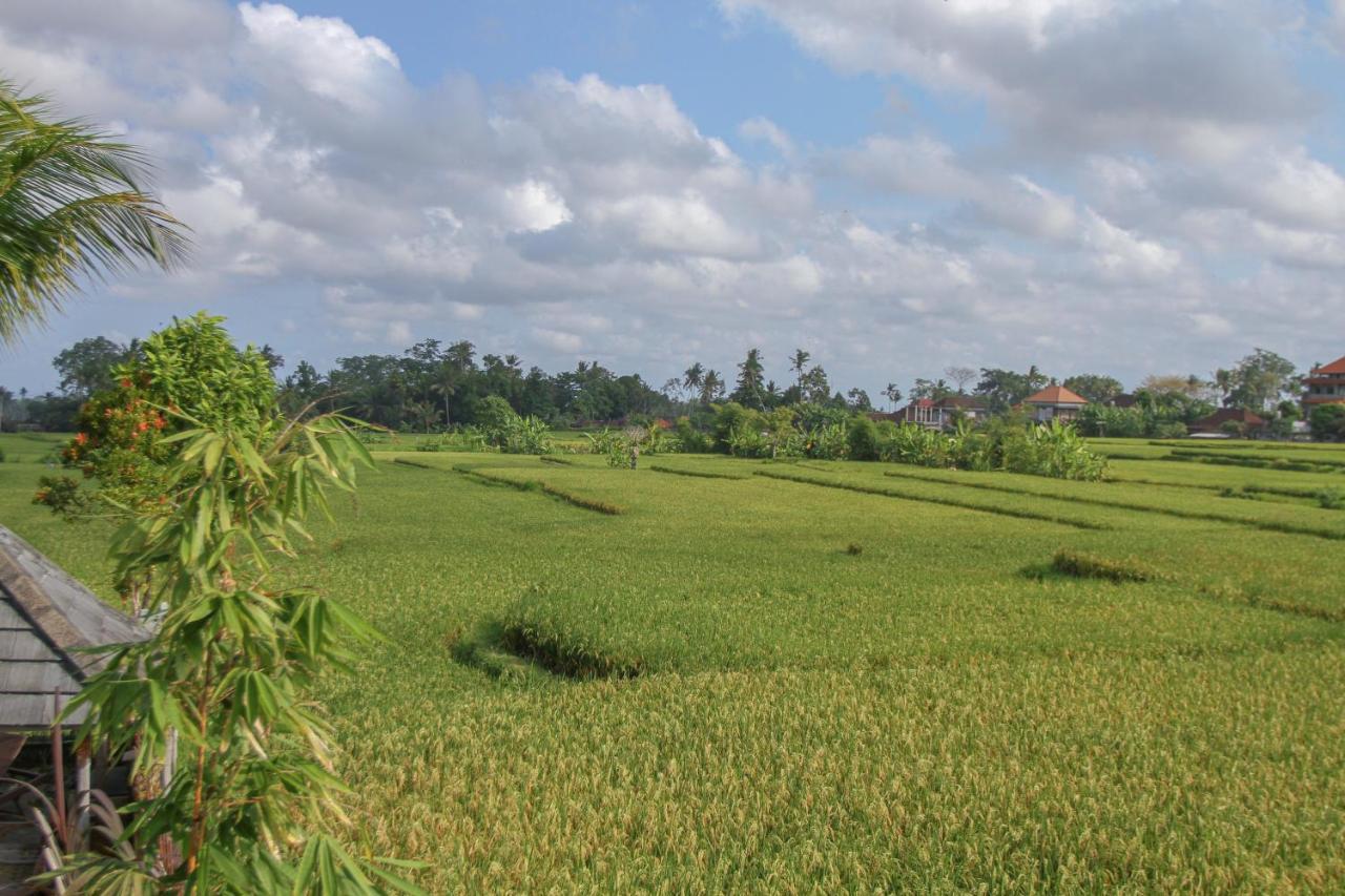 Kubu Sari Ubud Eksteriør billede