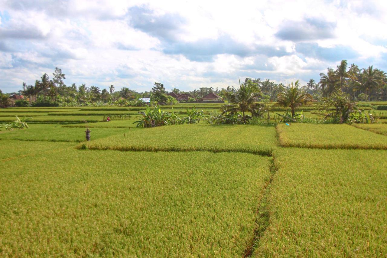 Kubu Sari Ubud Eksteriør billede